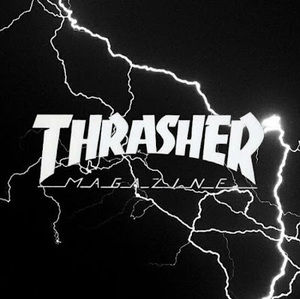 Meet your Posher, Leo